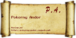 Pokorny Andor névjegykártya