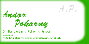 andor pokorny business card